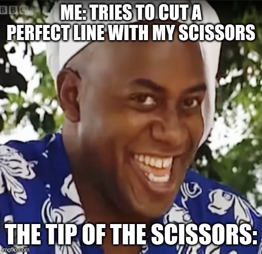 Bro I hate the tip... | ME: TRIES TO CUT A PERFECT LINE WITH MY SCISSORS; THE TIP OF THE SCISSORS: | image tagged in hehe boi,memes,gifs,1 trophy,sad pablo escobar,tuxedo winnie the pooh | made w/ Imgflip meme maker