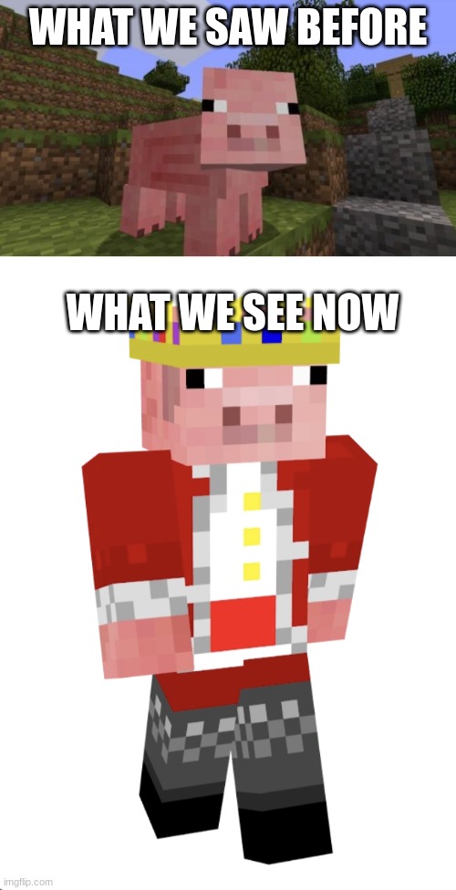 technoblade never dies! | WHAT WE SAW BEFORE; WHAT WE SEE NOW | image tagged in minecraft pig,technoblade | made w/ Imgflip meme maker