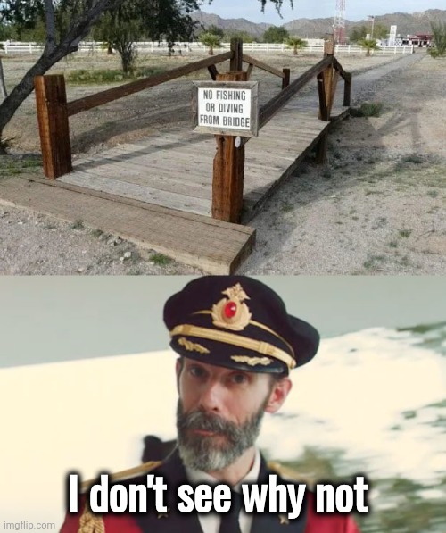 captain obvious meme south park