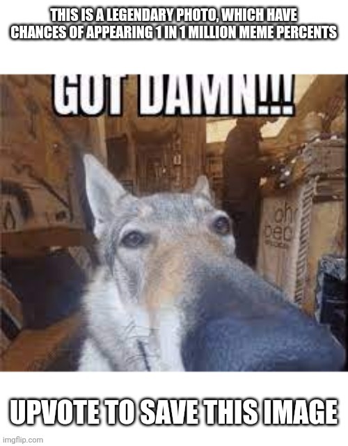 Legendary photo | image tagged in legendary photo | made w/ Imgflip meme maker