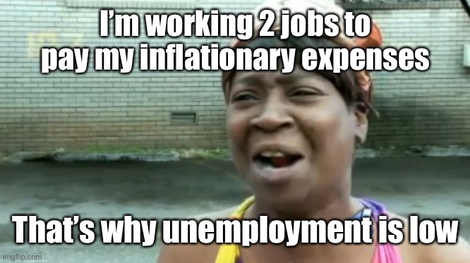 Ain't Nobody Got Time For That Meme | I’m working 2 jobs to pay my inflationary expenses That’s why unemployment is low | image tagged in memes,ain't nobody got time for that | made w/ Imgflip meme maker