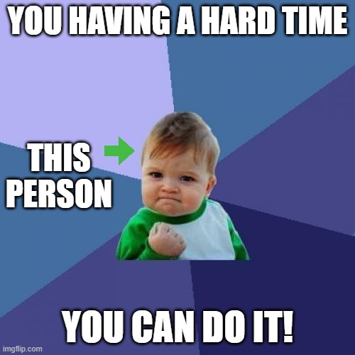 you can do it! | YOU HAVING A HARD TIME; THIS PERSON; YOU CAN DO IT! | image tagged in memes,success kid | made w/ Imgflip meme maker
