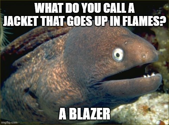 Bad Joke Eel Meme | WHAT DO YOU CALL A JACKET THAT GOES UP IN FLAMES? A BLAZER | image tagged in memes,bad joke eel,funny,dad joke | made w/ Imgflip meme maker