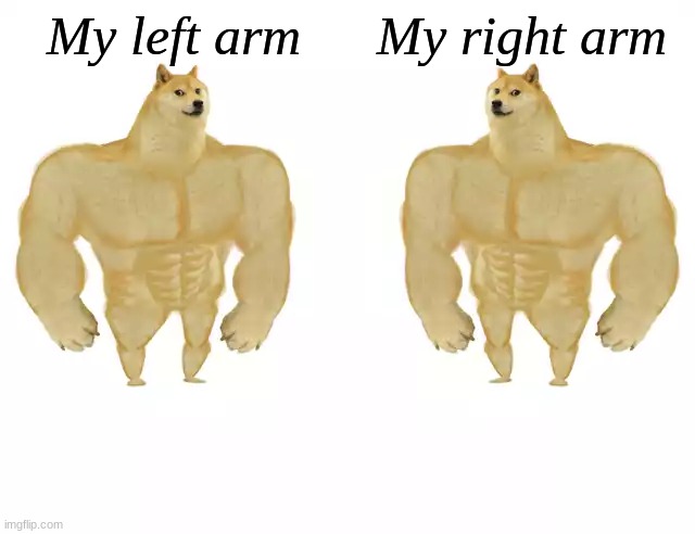 Buff Doge vs Buff Doge | My left arm My right arm | image tagged in buff doge vs buff doge | made w/ Imgflip meme maker