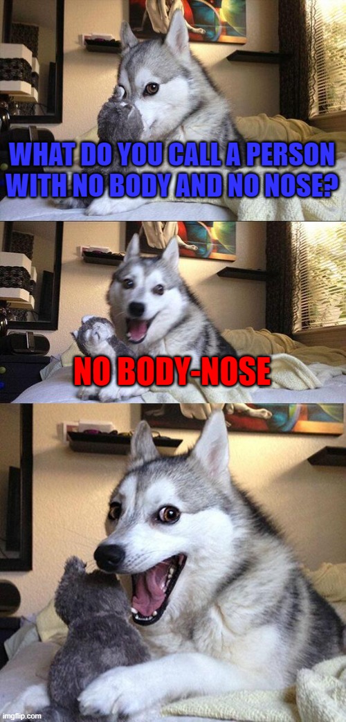 Bad Pun Dog | WHAT DO YOU CALL A PERSON WITH NO BODY AND NO NOSE? NO BODY-NOSE | image tagged in memes,bad pun dog,dad joke,funny | made w/ Imgflip meme maker