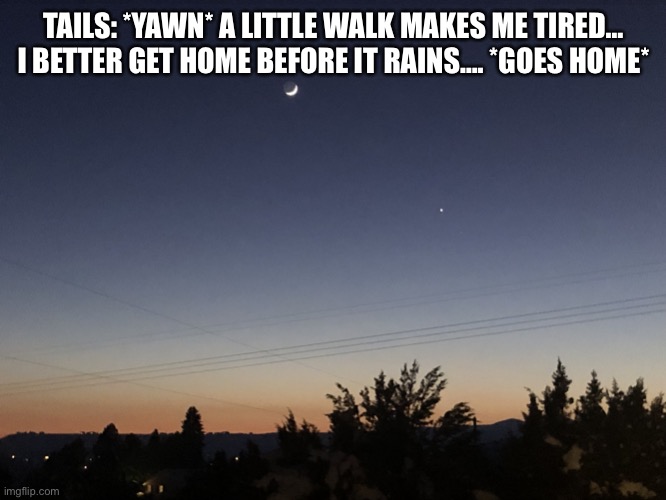 After a walk….. | TAILS: *YAWN* A LITTLE WALK MAKES ME TIRED… I BETTER GET HOME BEFORE IT RAINS…. *GOES HOME* | image tagged in nighttime | made w/ Imgflip meme maker