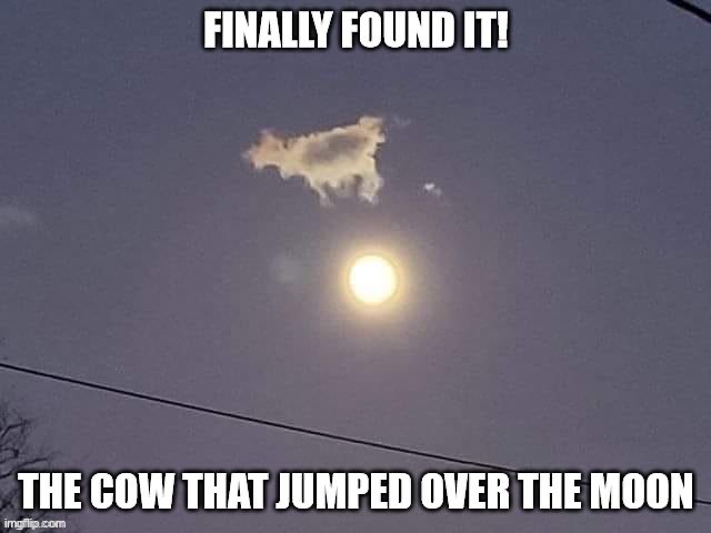 image tagged in memes,funny,repost | made w/ Imgflip meme maker