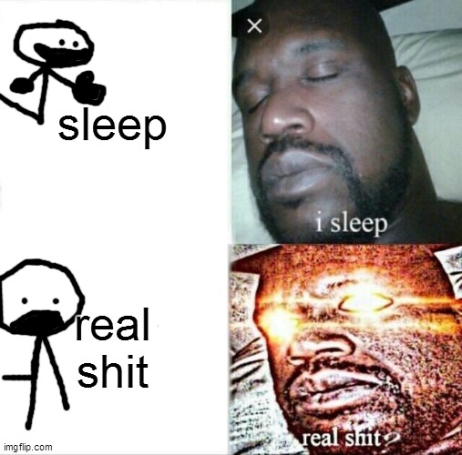 Sleeping Shaq Meme | sleep; real shit | image tagged in memes,sleeping shaq | made w/ Imgflip meme maker