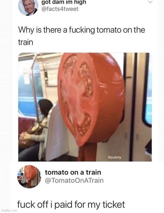 image tagged in memes | made w/ Imgflip meme maker