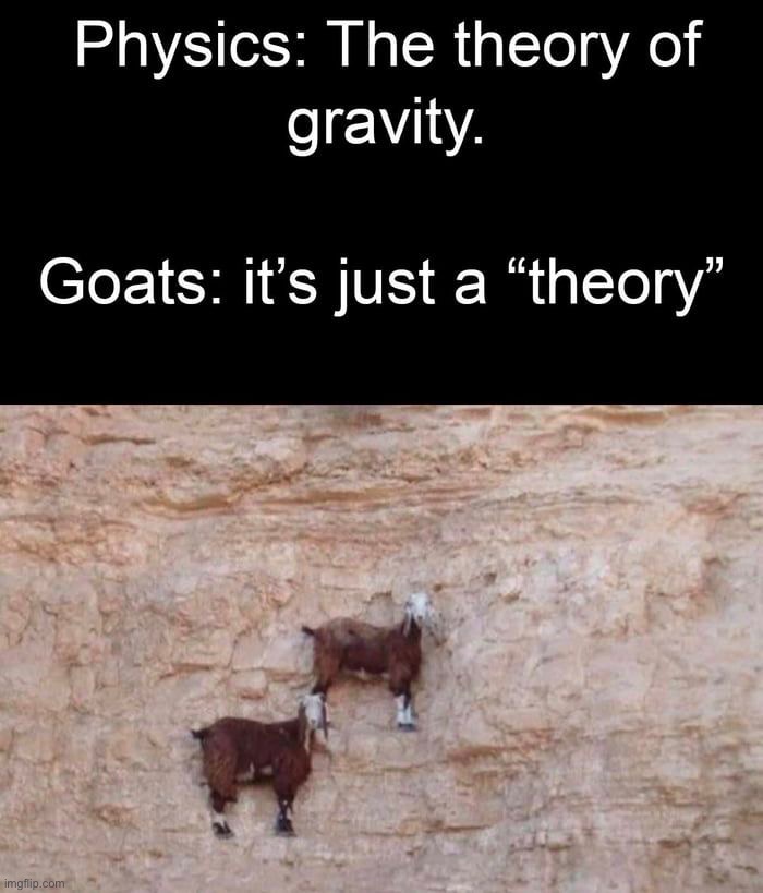 image tagged in memes,funny | made w/ Imgflip meme maker