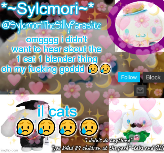 glad i don't have a blender | omgggg i didn't want to hear about the 1 cat 1 blender thing oh my fucking goddd 😥😥; il cats 😥😥😥😥 | image tagged in sylcmor's silly cinna temp | made w/ Imgflip meme maker
