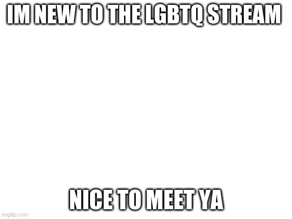 IM NEW TO THE LGBTQ STREAM; NICE TO MEET YA | made w/ Imgflip meme maker