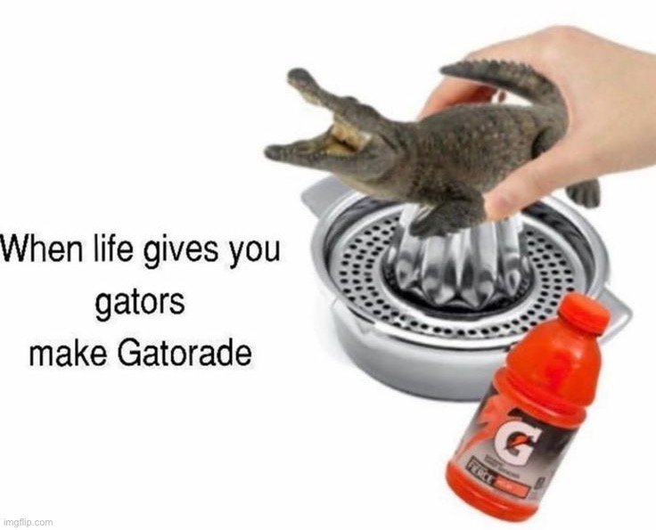 image tagged in memes | made w/ Imgflip meme maker