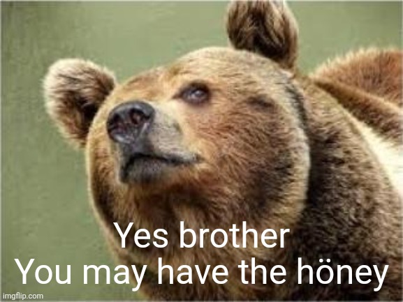 Smug Bear Meme | Yes brother
You may have the höney | image tagged in memes,smug bear | made w/ Imgflip meme maker