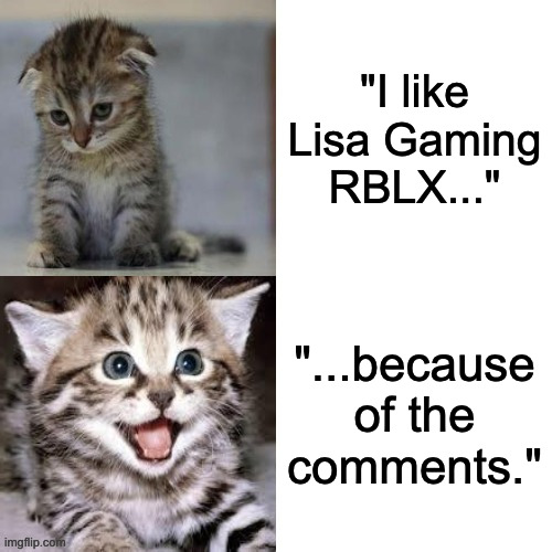 Sad Cat to Happy Cat | "I like Lisa Gaming RBLX..."; "...because of the comments." | image tagged in sad cat to happy cat | made w/ Imgflip meme maker