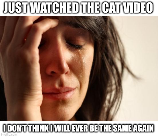 First World Problems | JUST WATCHED THE CAT VIDEO; I DON’T THINK I WILL EVER BE THE SAME AGAIN | image tagged in memes,first world problems | made w/ Imgflip meme maker