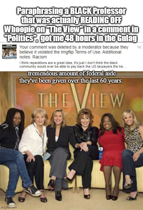 PRO TIP: Do NOT be a RACIST like me ! | Paraphrasing a BLACK Professor that was actually READING OFF Whoopie on "The View" in a comment in "Politics",  got me 48 hours in the Gulag; tremendous amount of federal aide they've been given over the last 60 years. | image tagged in politics is spinning out of control | made w/ Imgflip meme maker