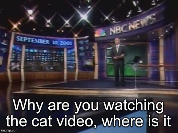 September 10, 2001 | Why are you watching the cat video, where is it | image tagged in september 10 2001 | made w/ Imgflip meme maker