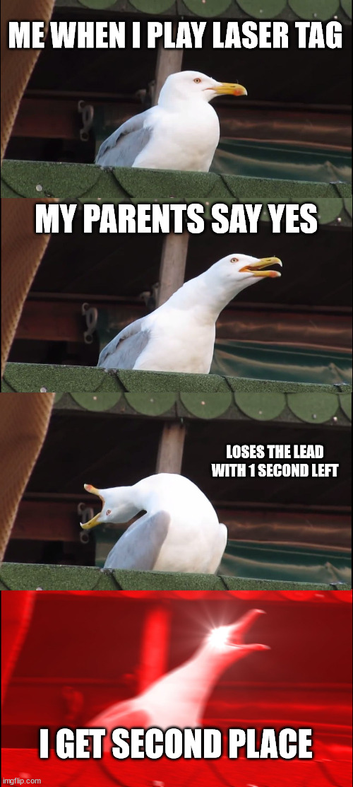 Laser Seagull | ME WHEN I PLAY LASER TAG; MY PARENTS SAY YES; LOSES THE LEAD WITH 1 SECOND LEFT; I GET SECOND PLACE | image tagged in memes,inhaling seagull,laser tag | made w/ Imgflip meme maker