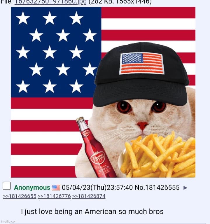 America cat | image tagged in america cat | made w/ Imgflip meme maker