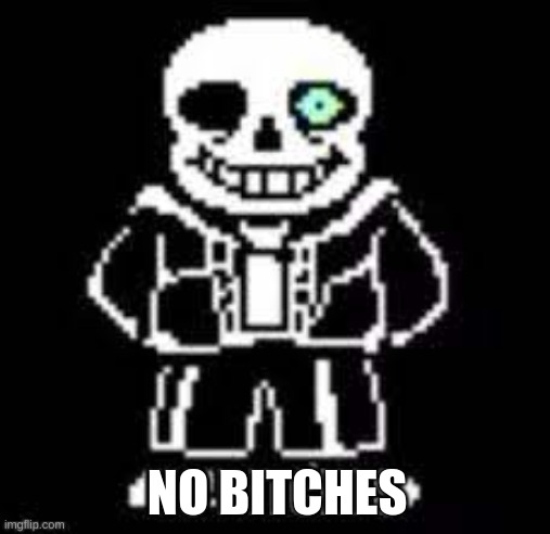 I like undertale | NO BITCHES | image tagged in memes | made w/ Imgflip meme maker