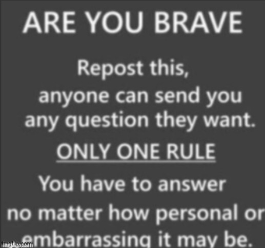 are you brave | image tagged in are you brave | made w/ Imgflip meme maker