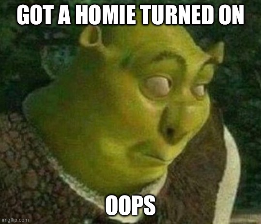 Oops shrek | GOT A HOMIE TURNED ON OOPS | image tagged in oops shrek | made w/ Imgflip meme maker