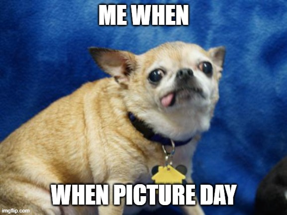 Derpy Dog | ME WHEN; WHEN PICTURE DAY | image tagged in derpy dog | made w/ Imgflip meme maker
