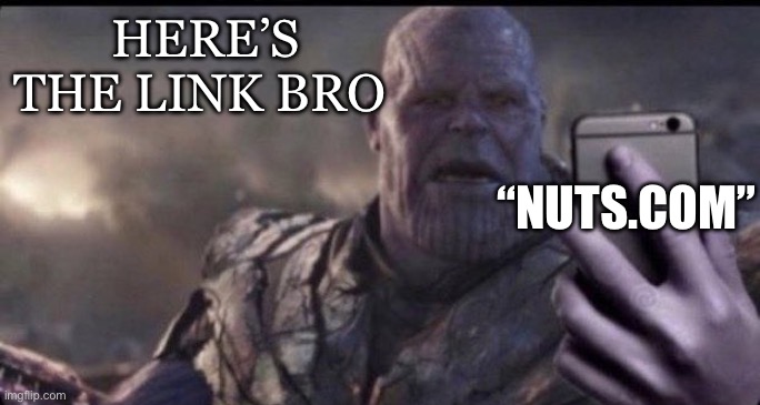 thanos holds phone | HERE’S THE LINK BRO “NUTS.COM” | image tagged in thanos holds phone | made w/ Imgflip meme maker