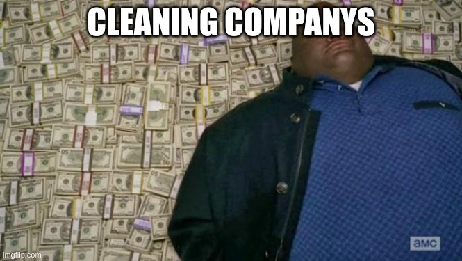 huell money | CLEANING COMPANYS | image tagged in huell money | made w/ Imgflip meme maker