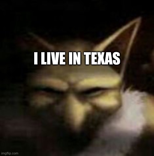 Which is a good state cause no health care for trans kids WOOOOO | I LIVE IN TEXAS | image tagged in hypno speaking facts | made w/ Imgflip meme maker