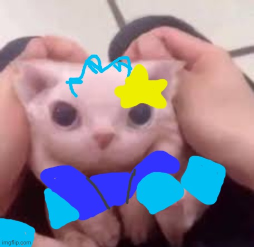 Scrunched Bingus | image tagged in scrunched bingus | made w/ Imgflip meme maker