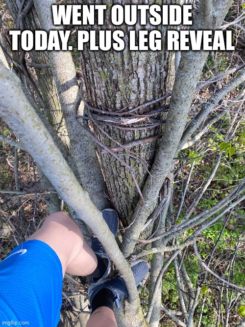 WENT OUTSIDE TODAY. PLUS LEG REVEAL | made w/ Imgflip meme maker