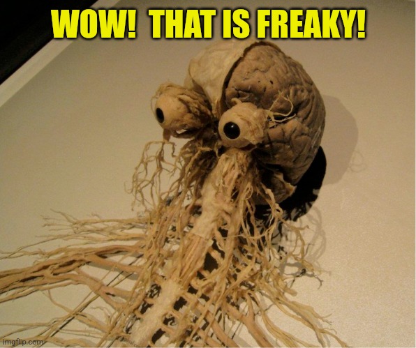 WOW!  THAT IS FREAKY! | made w/ Imgflip meme maker