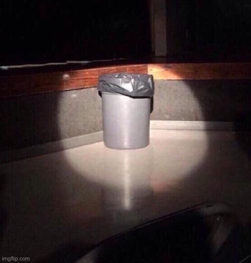 Trash Can Spotlight | image tagged in trash can spotlight | made w/ Imgflip meme maker