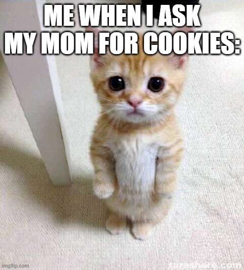 Cute Cat | ME WHEN I ASK MY MOM FOR COOKIES: | image tagged in memes,cute cat | made w/ Imgflip meme maker