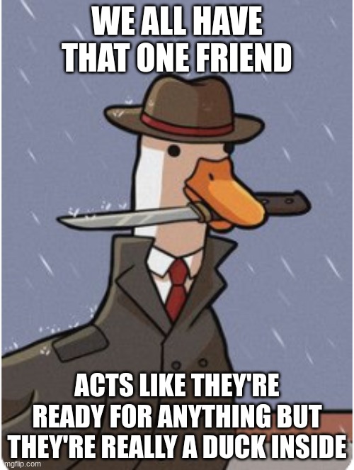 truth | WE ALL HAVE THAT ONE FRIEND; THEY MAY GIVE THE IMPRESSION OF BEING PREPARED FOR ANY SITUATION, BUT IN REALITY, THEY ARE AS UNPREPARED AS A DUCK. | image tagged in the mean duck | made w/ Imgflip meme maker