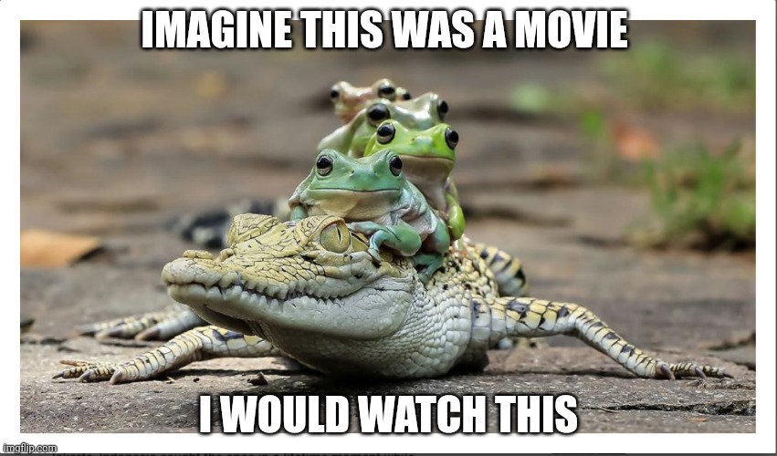 Five frogs on a crocodile | IMAGINE THIS WAS A MOVIE; I WOULD WATCH THIS | image tagged in five frogs on a crocodile,movie | made w/ Imgflip meme maker