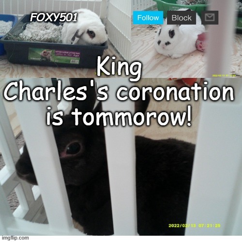 Just a reminder | King Charles's coronation is tommorow! | image tagged in foxy501 announcement template,king charles,coronation,britian | made w/ Imgflip meme maker