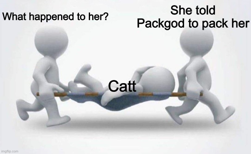 Packgod do be good at what he does | What happened to her? She told Packgod to pack her; Catt | image tagged in what happened to him,packers | made w/ Imgflip meme maker