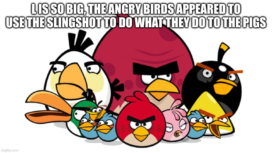 Varry Angry Birds | L IS SO BIG, THE ANGRY BIRDS APPEARED TO USE THE SLINGSHOT TO DO WHAT THEY DO TO THE PIGS | image tagged in varry angry birds | made w/ Imgflip meme maker