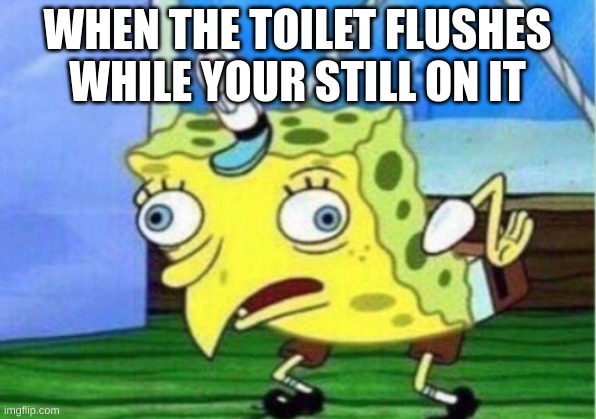Mocking Spongebob | WHEN THE TOILET FLUSHES WHILE YOUR STILL ON IT | image tagged in memes,mocking spongebob | made w/ Imgflip meme maker