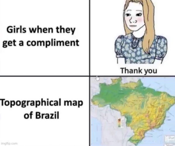 Topographical map of brazil | image tagged in map,brazil,bullshit,random | made w/ Imgflip meme maker