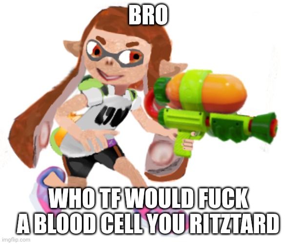 Splatoon real | BRO WHO TF WOULD FUCK A BLOOD CELL YOU RITZTARD | image tagged in splatoon real | made w/ Imgflip meme maker