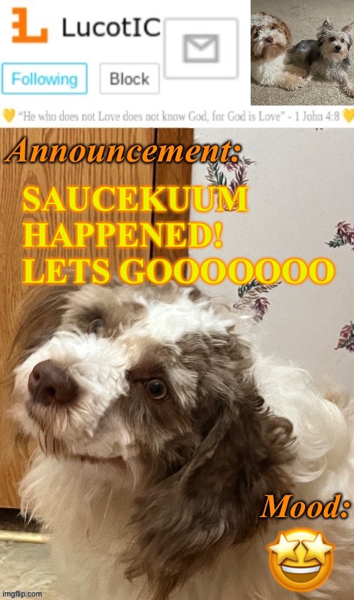 No more modddsss | SAUCEKUUM HAPPENED!
LETS GOOOOOOO; 🤩 | image tagged in lucotic s fangz announcement temp thanks strike | made w/ Imgflip meme maker