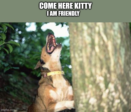 Dog Barking Up Tree | COME HERE KITTY; I AM FRIENDLY | image tagged in dog barking up tree | made w/ Imgflip meme maker