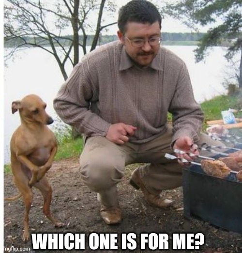 barbecue dog | WHICH ONE IS FOR ME? | image tagged in barbecue dog | made w/ Imgflip meme maker