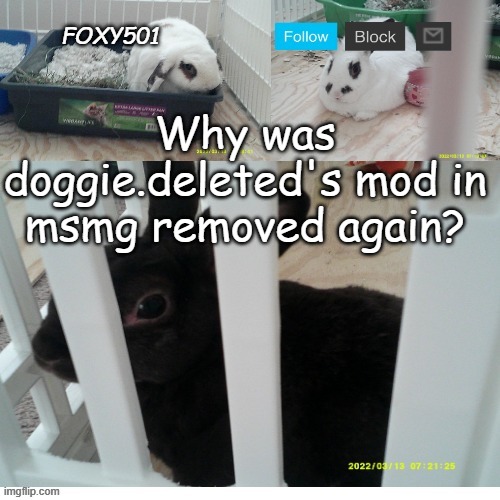 Foxy501 announcement template | Why was doggie.deleted's mod in msmg removed again? | image tagged in foxy501 announcement template | made w/ Imgflip meme maker