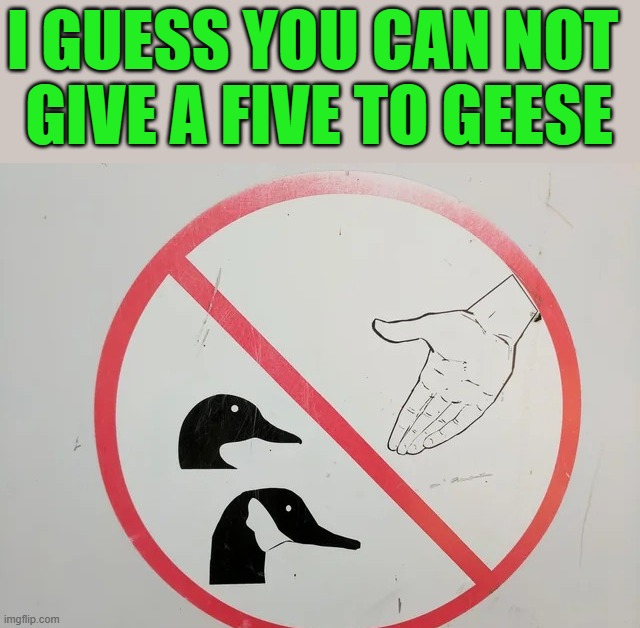I GUESS YOU CAN NOT 
GIVE A FIVE TO GEESE | image tagged in geese | made w/ Imgflip meme maker