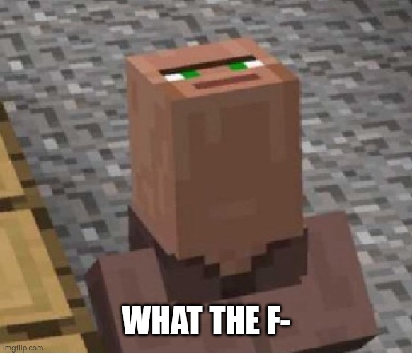 What the f | WHAT THE F- | image tagged in what the f | made w/ Imgflip meme maker